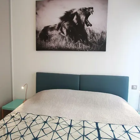 Palais Foch Appartement Cannes